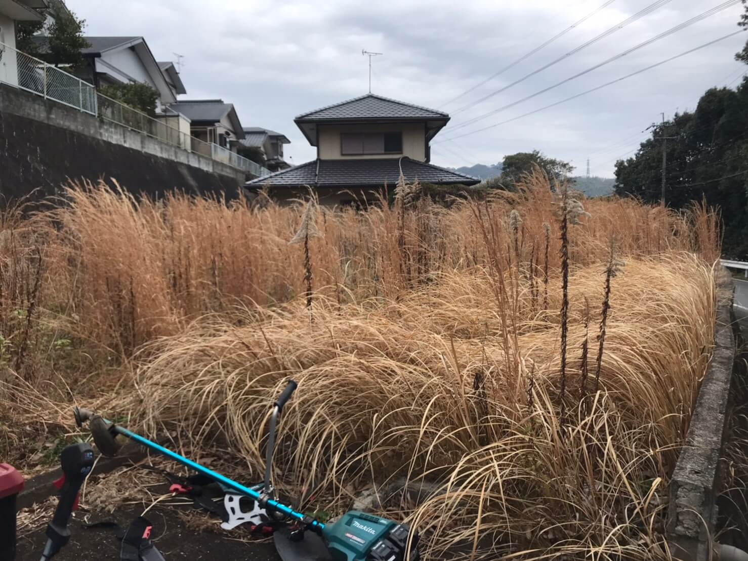 こちらは別角度からの現場状況。